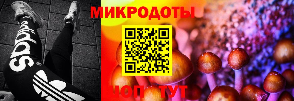 Псилоцибиновые грибы ЛСД Богородск