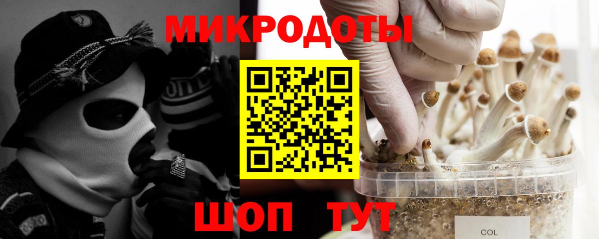 Галлюциногенные грибы прущие грибы  Вход с VPN  Богородск 